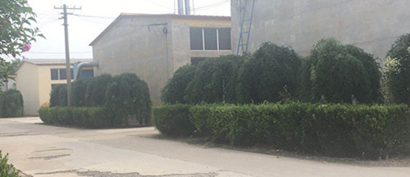 專(zhuān)業(yè)的技術(shù)團(tuán)隊(duì)，為客戶(hù)私人定制